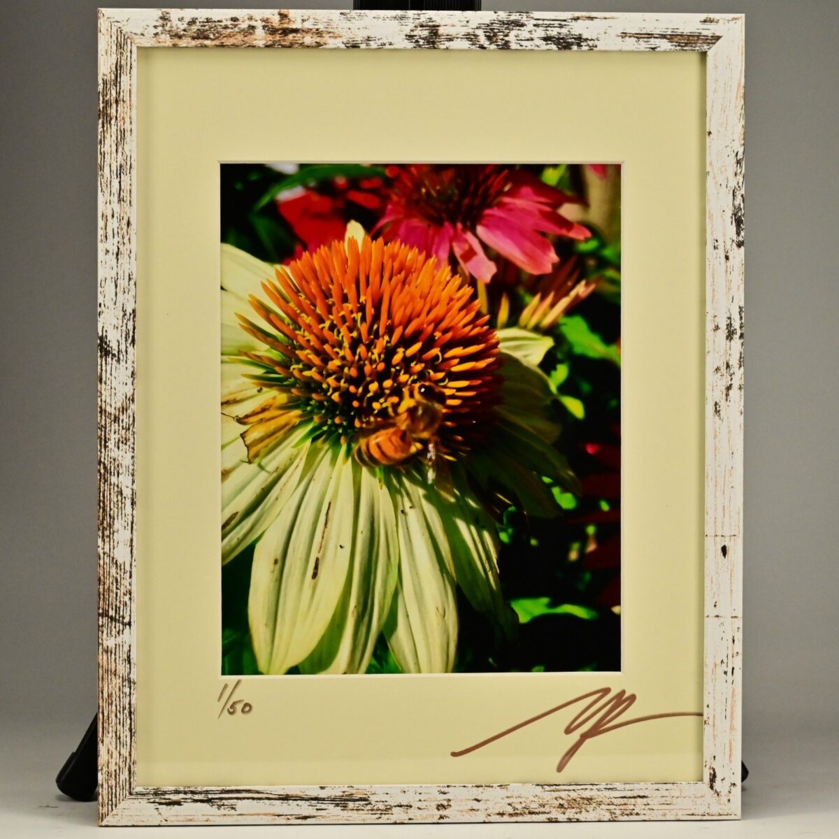 MICHAEL RAY Original Vintage Signed Honey Bee Floral Still Life Photograph Print