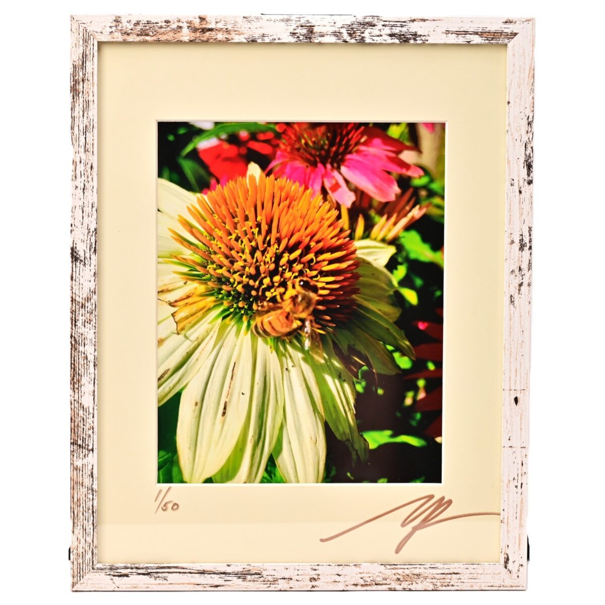 MICHAEL RAY Original Vintage Signed Honey Bee Floral Still Life Photograph Print