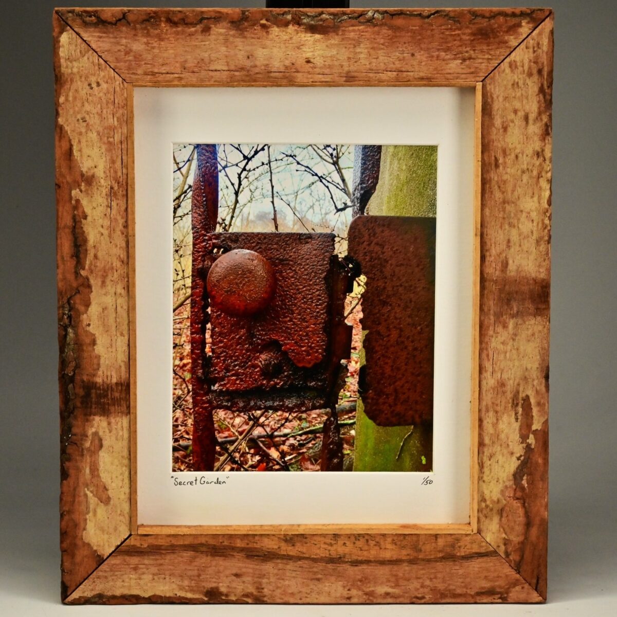 MICHAEL RAY Original Vintage Signed NY Secret Garden Landscape Photograph Print