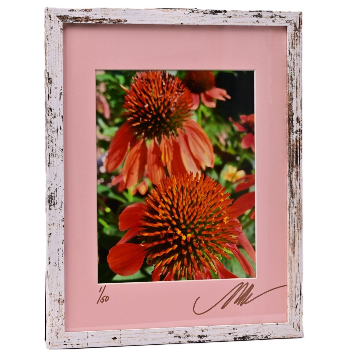 MICHAEL RAY Original Vintage Signed Long Island NY Floral Still Life Photograph