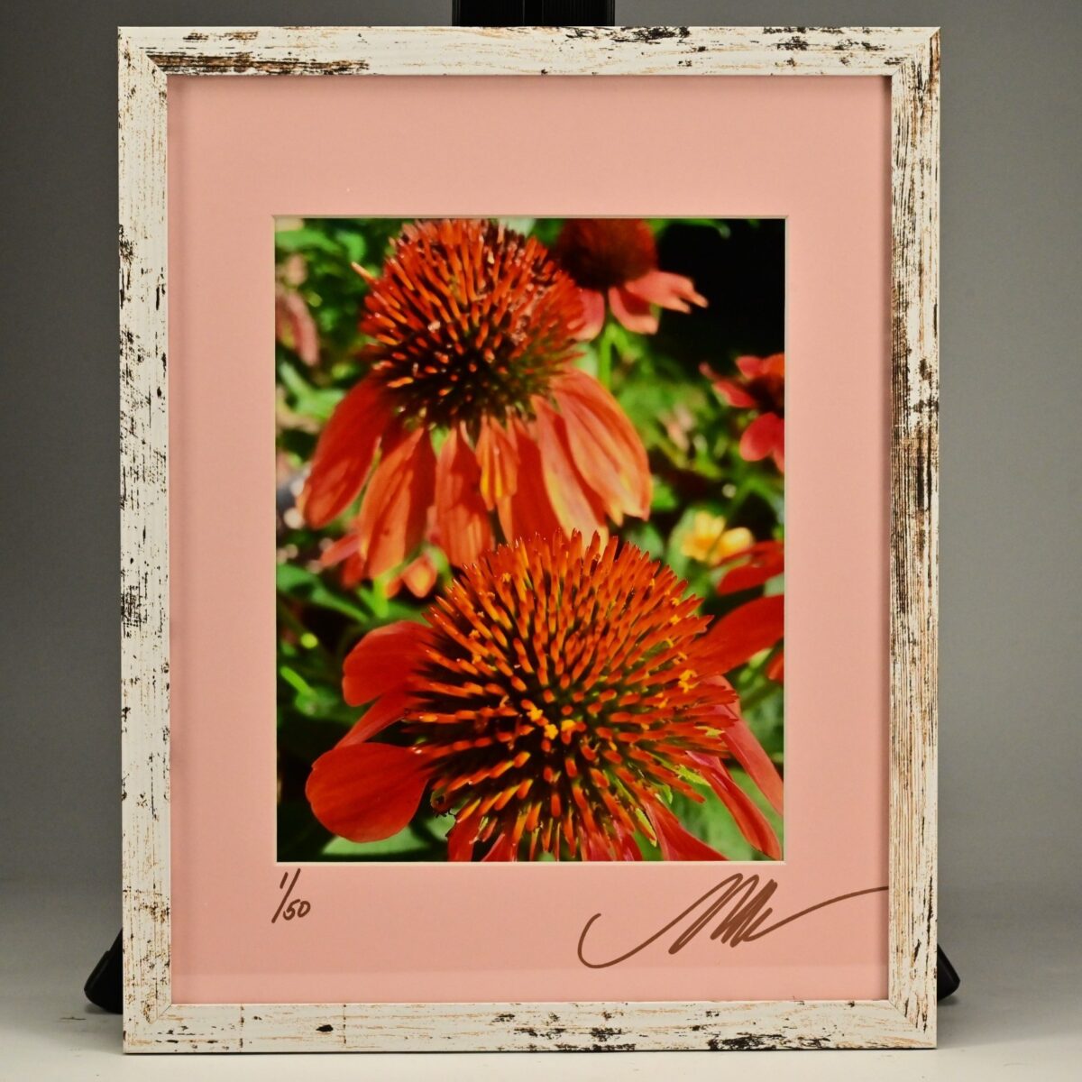 MICHAEL RAY Original Vintage Signed Long Island NY Floral Still Life Photograph