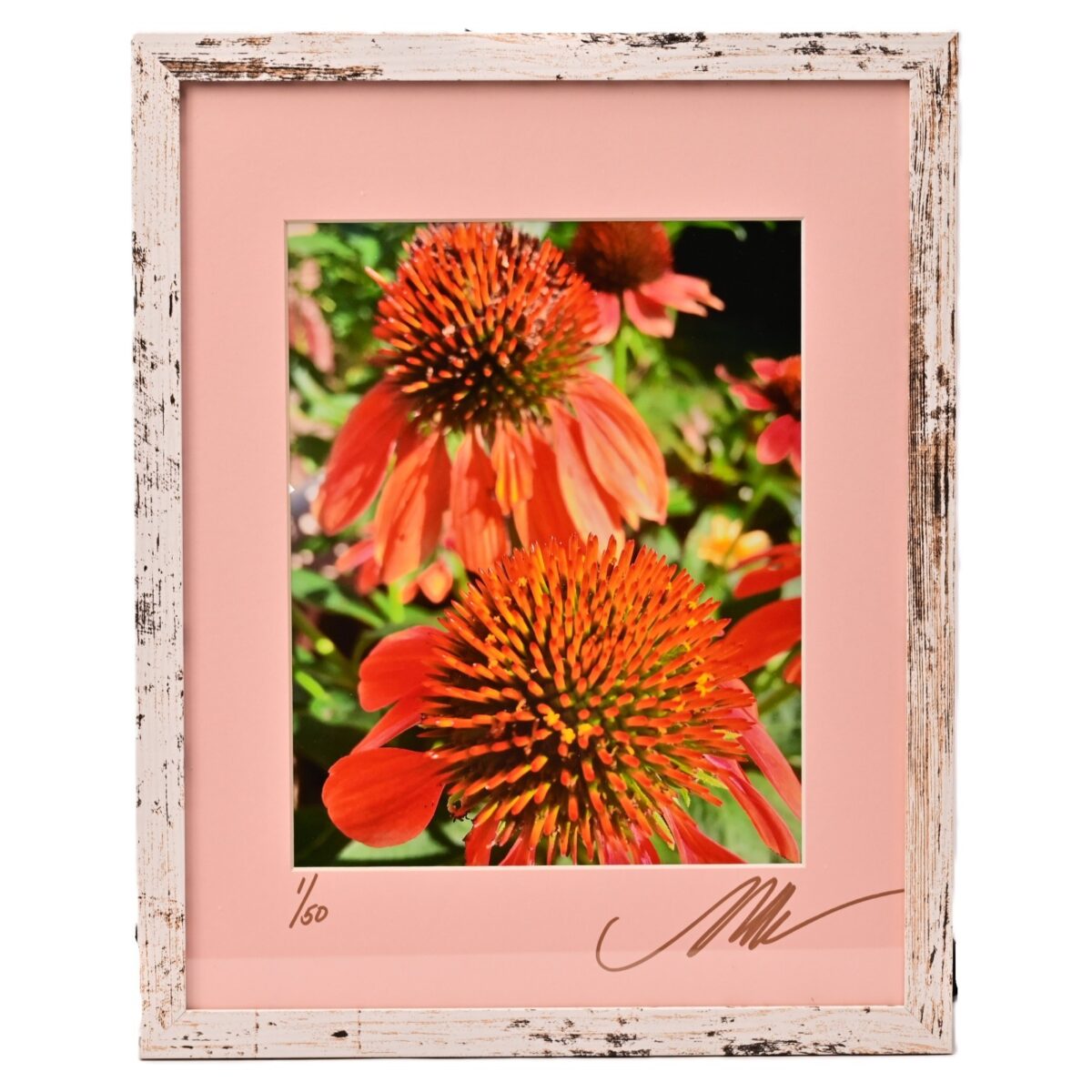 MICHAEL RAY Original Vintage Signed Long Island NY Floral Still Life Photograph